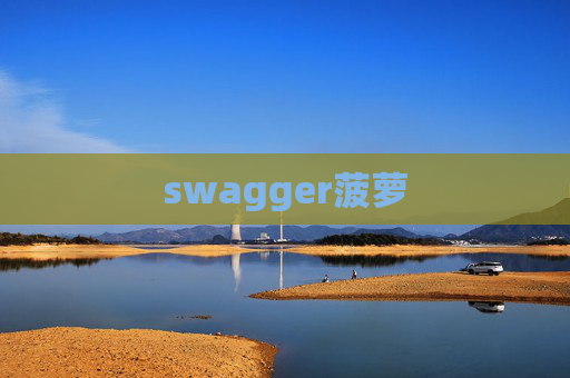 swagger菠萝 swagger菠萝